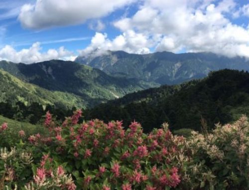 Oud & Nieuw in Taiwan